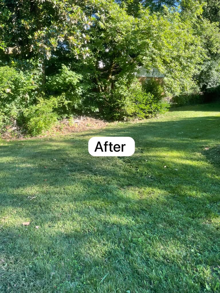 Weed trimming project photograph 1